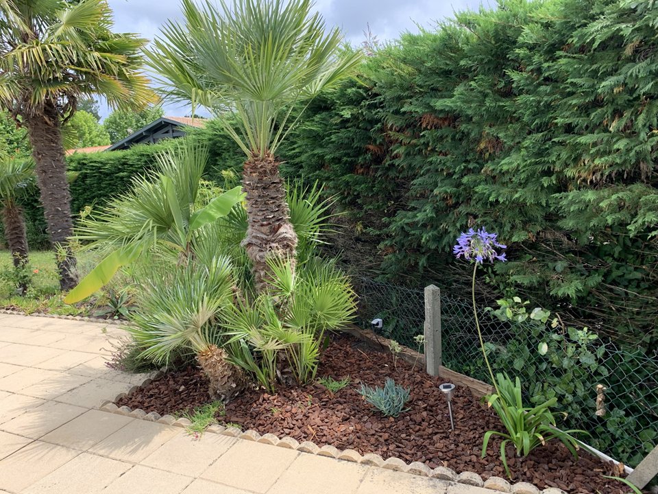 4 pièces vacances  à SEIGNOSSE